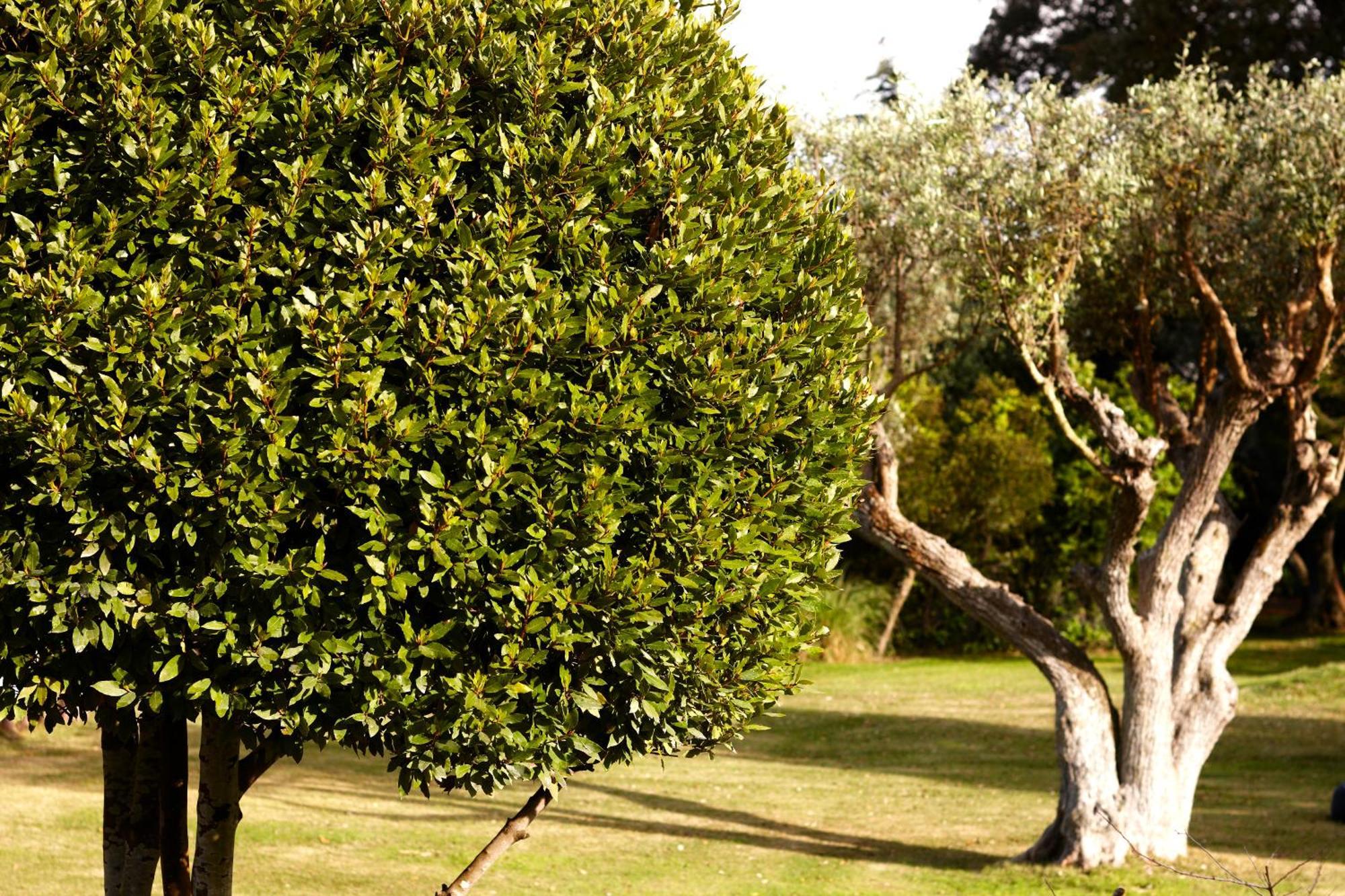 Quinta Do Miguel Villa Aldeia do Meco Exterior photo